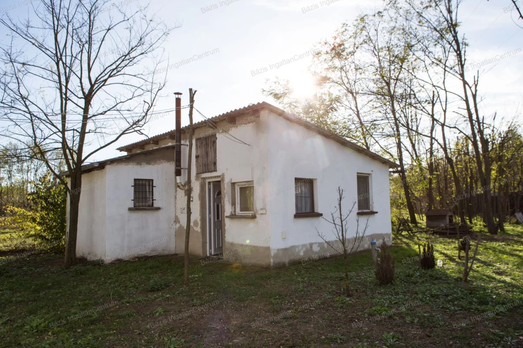 Baján a Keleti-körút közelében eladó egy 2600 m2-es telken fekvő tanya