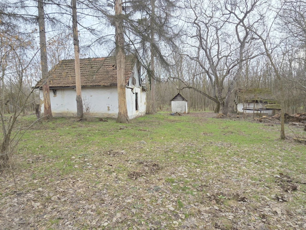 For sale grange, Rém, Álmos tanya