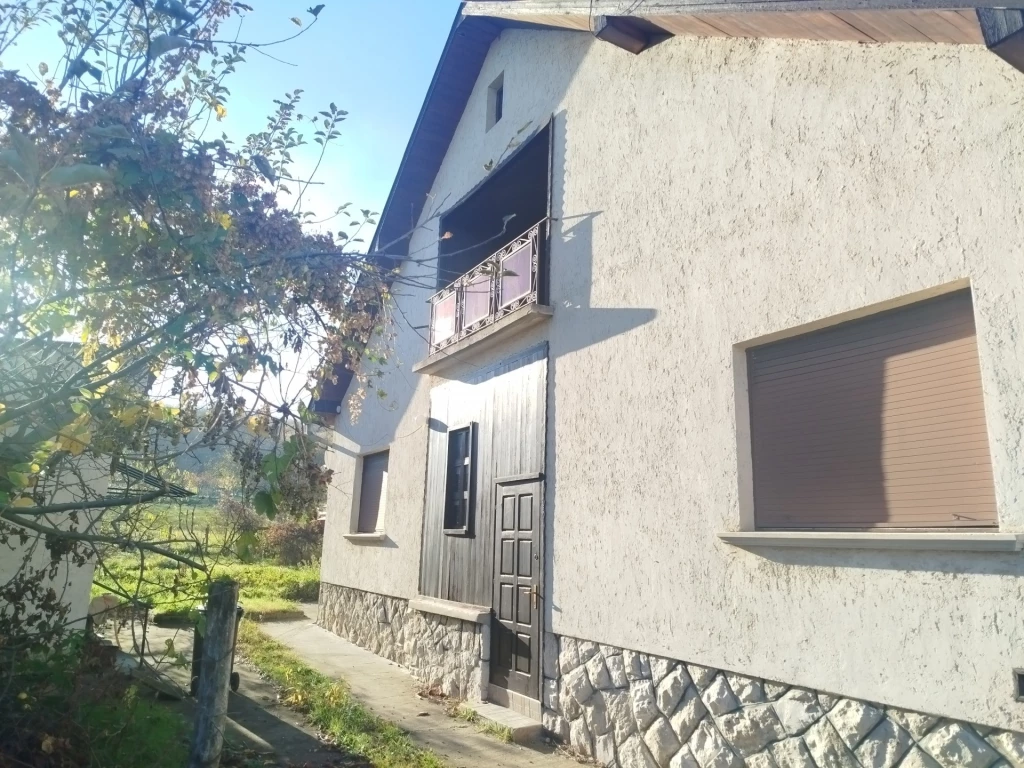 For sale house, Tényő