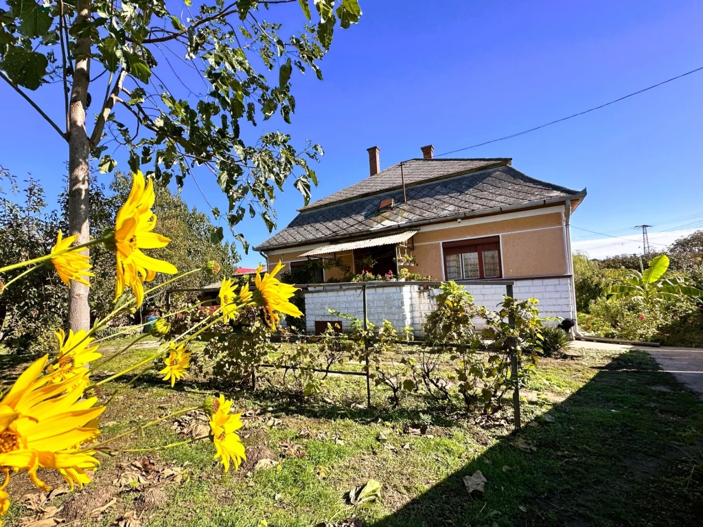 For sale house, Komádi