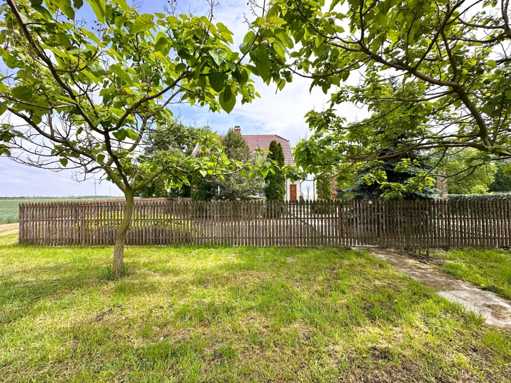 For sale house, Nagybánhegyes