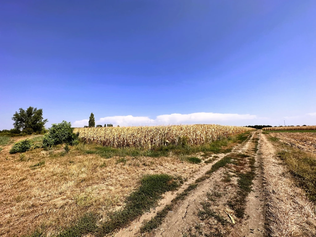 c3-1-name c2-60-name, Doboz, Külterület