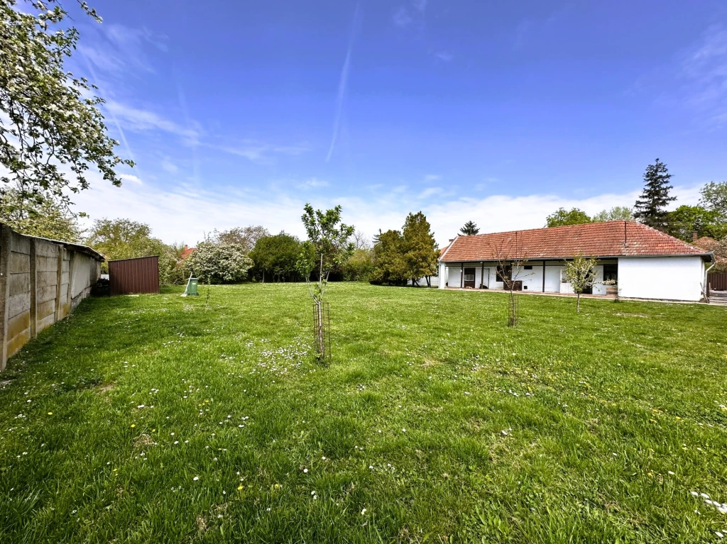 c3-1-name c2-53-name, Gyula