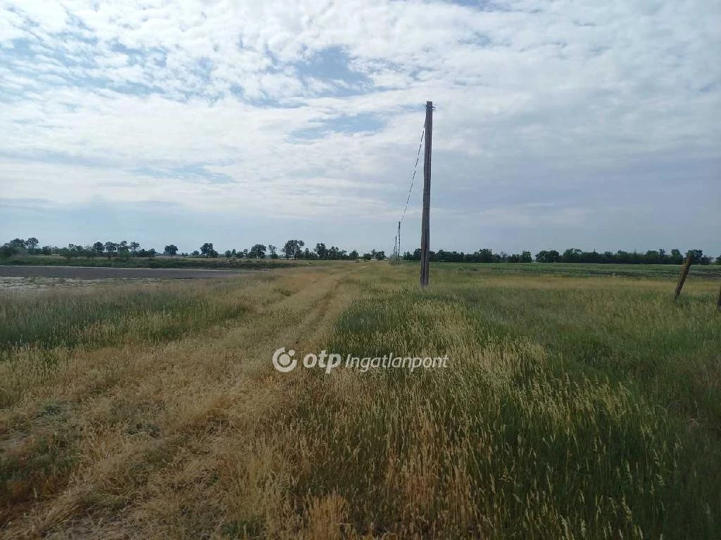 For sale plough-land, pasture, Csongrád