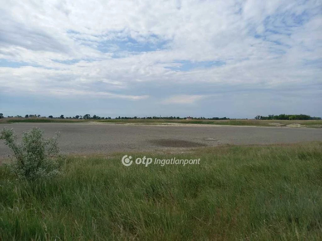 For sale plough-land, pasture, Csongrád