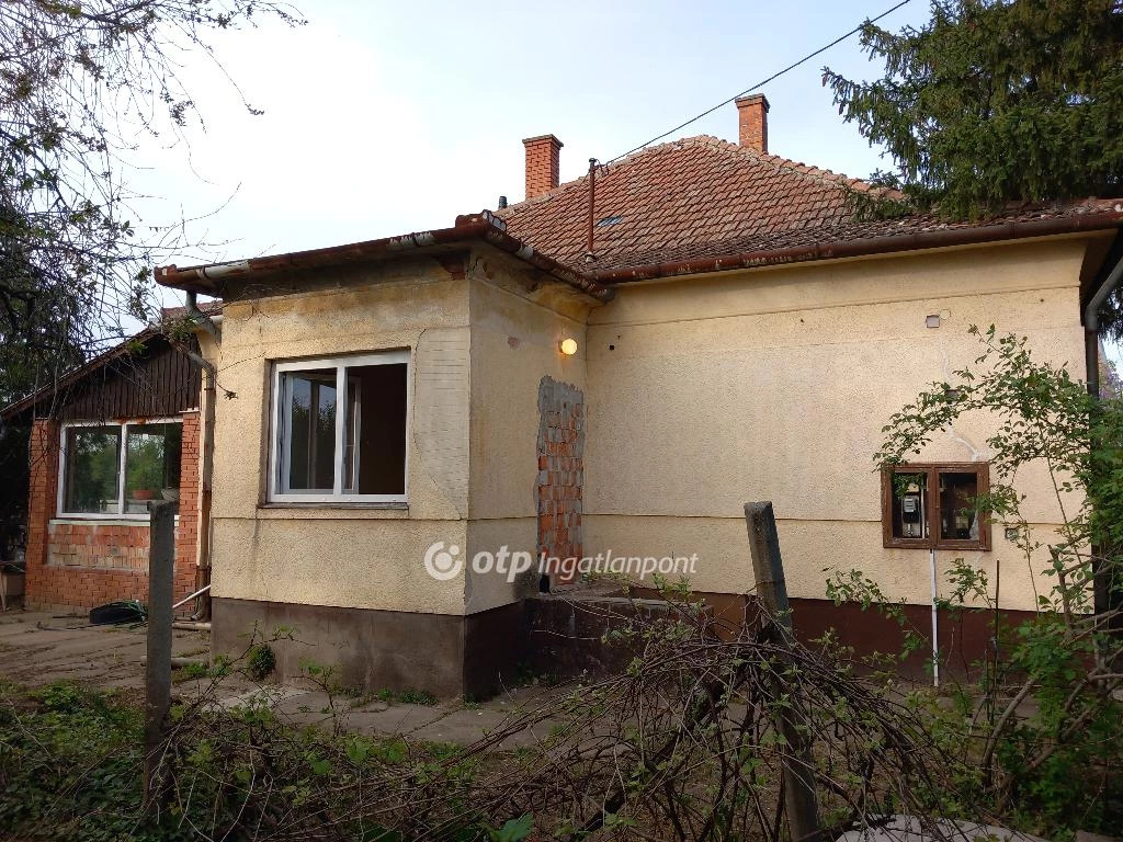 For sale house, Csanytelek