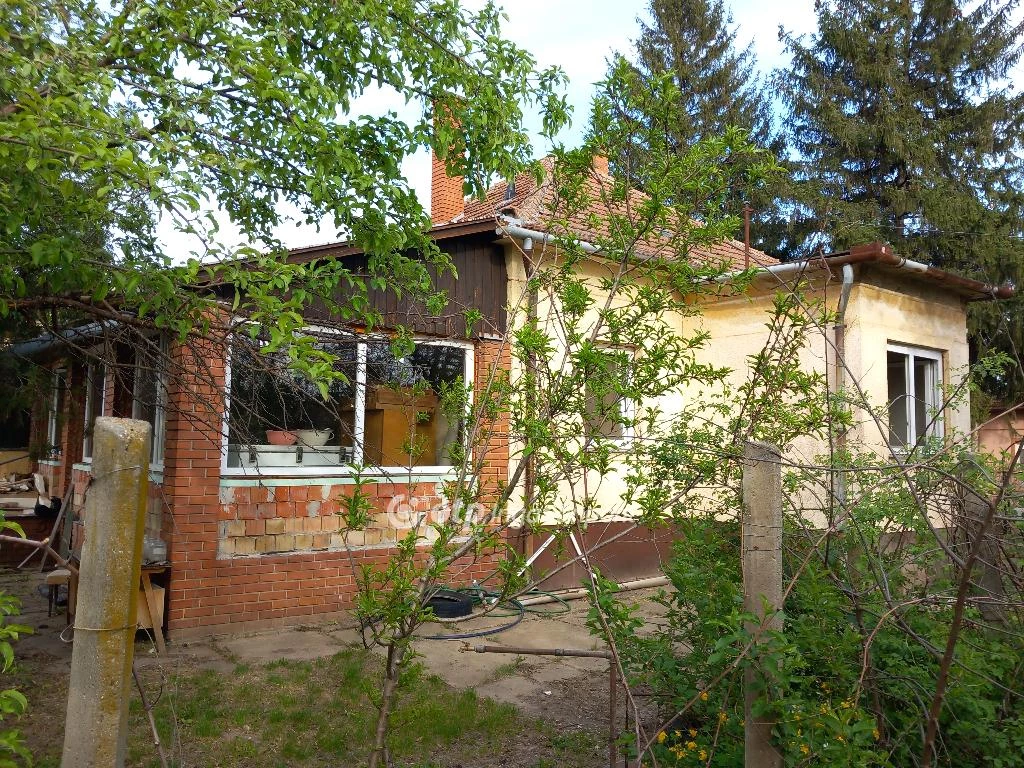 For sale house, Csanytelek