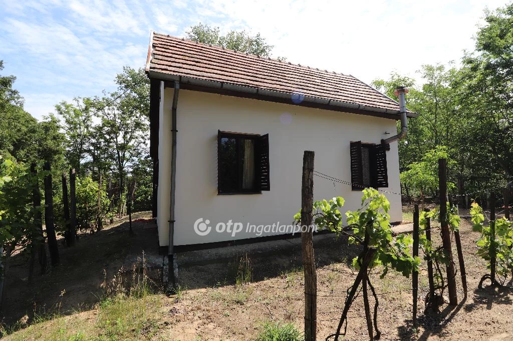 For sale house with a garden, Csongrád