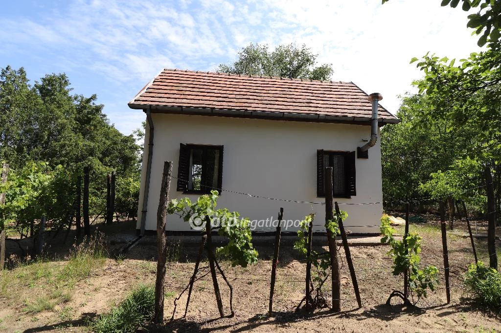 For sale house with a garden, Csongrád