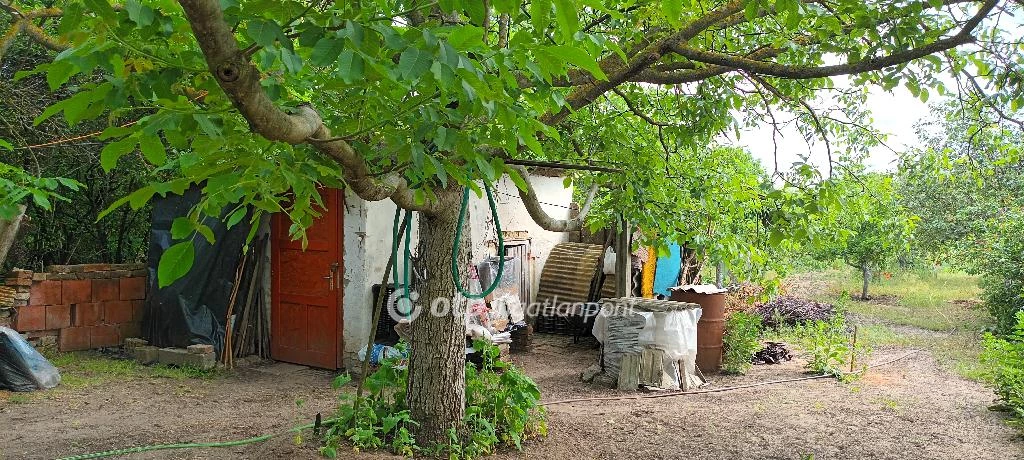 For sale plough-land, pasture, Csongrád