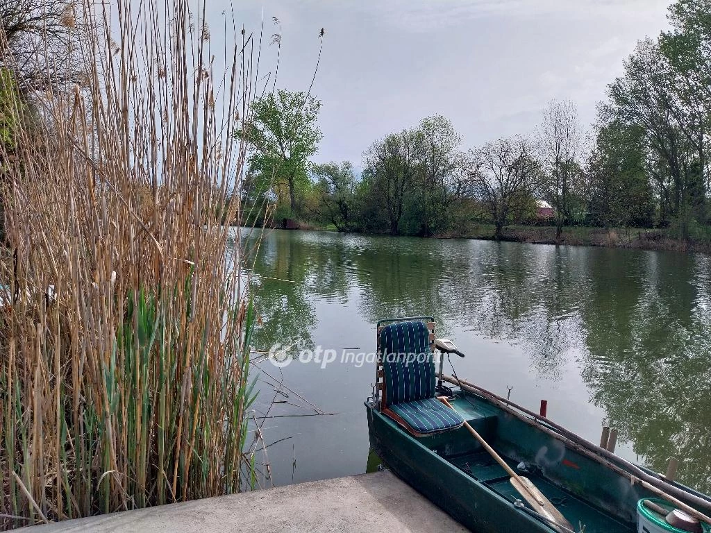 Eladó Mezőgazdasági, Gyomaendrőd