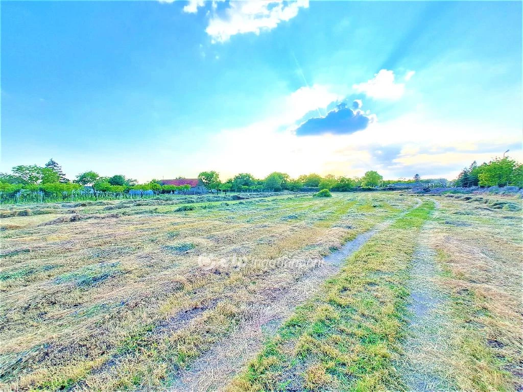 For sale plough-land, pasture, Cegléd