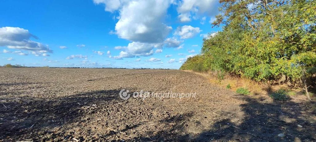 For sale plough-land, pasture, Mezőkovácsháza