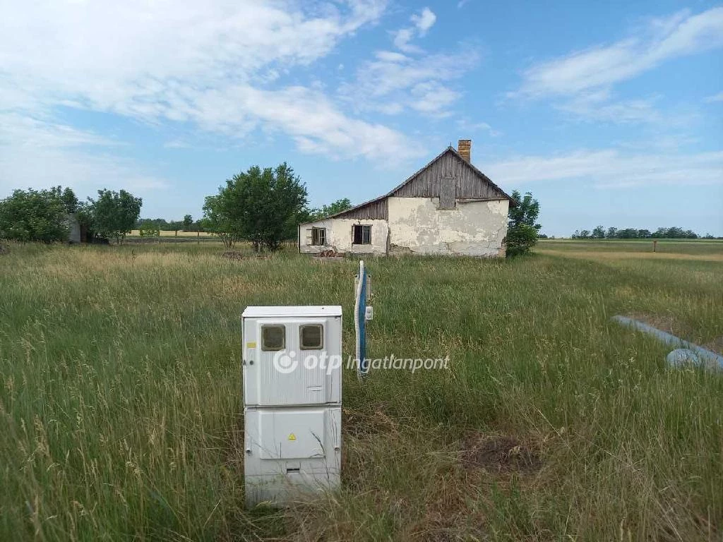 For sale plough-land, pasture, Csongrád