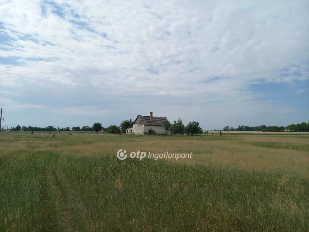 For sale plough-land, pasture, Csongrád