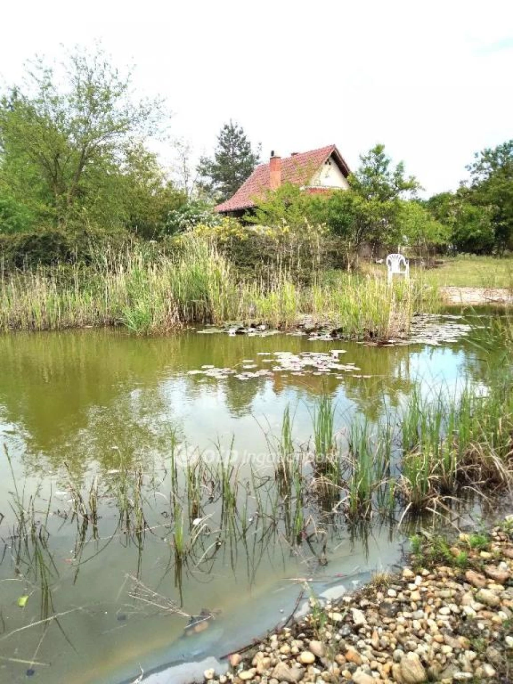 For sale house, Kiskunfélegyháza