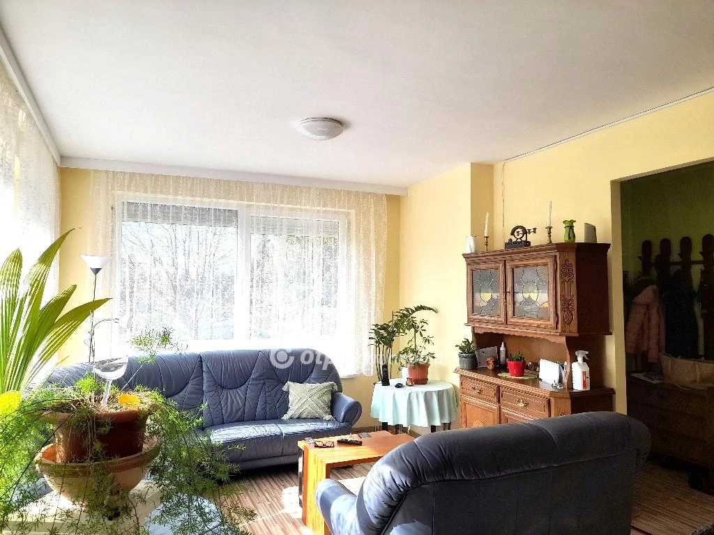 For sale house, Szeged