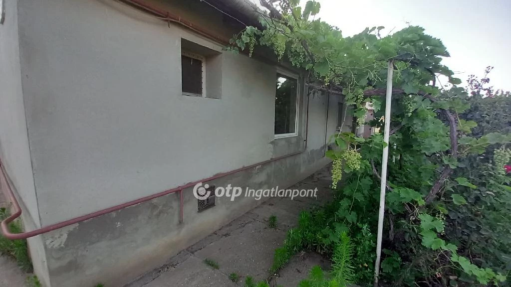 For sale house, Csanytelek