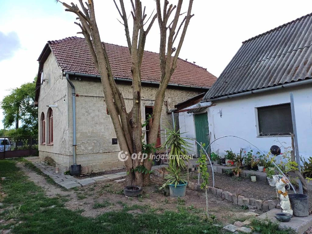 For sale house, Szentes