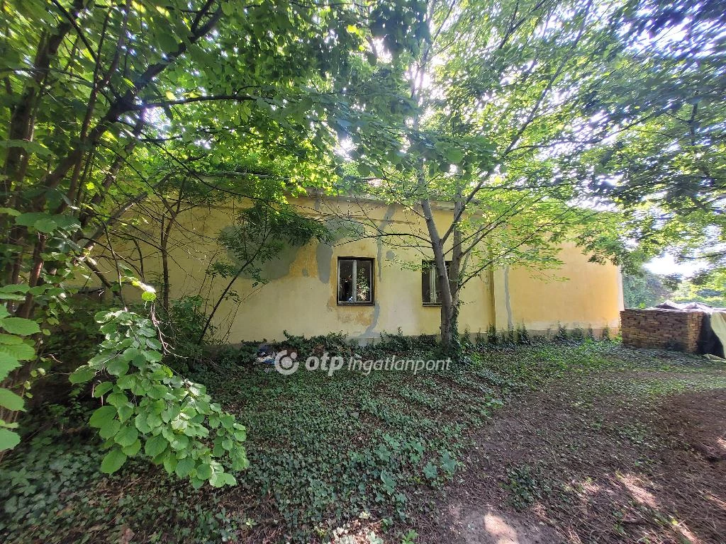 For sale house, Mezőhegyes