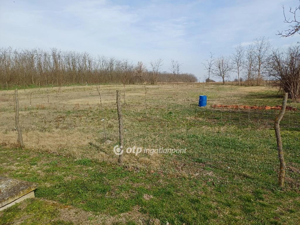 For sale house, Felgyő