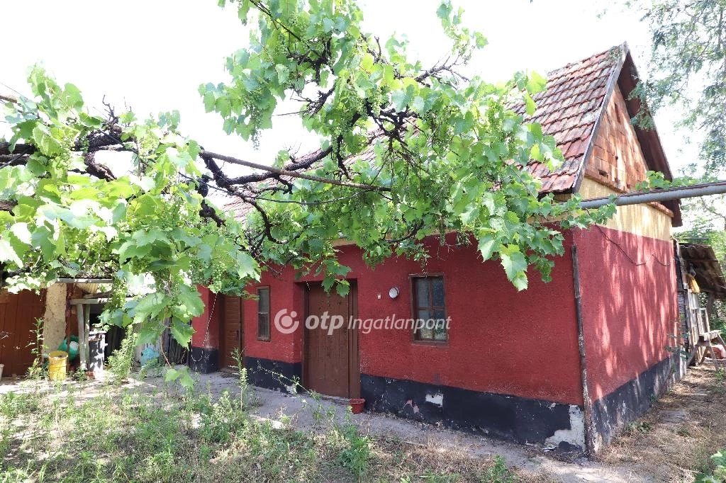 For sale house, Csongrád