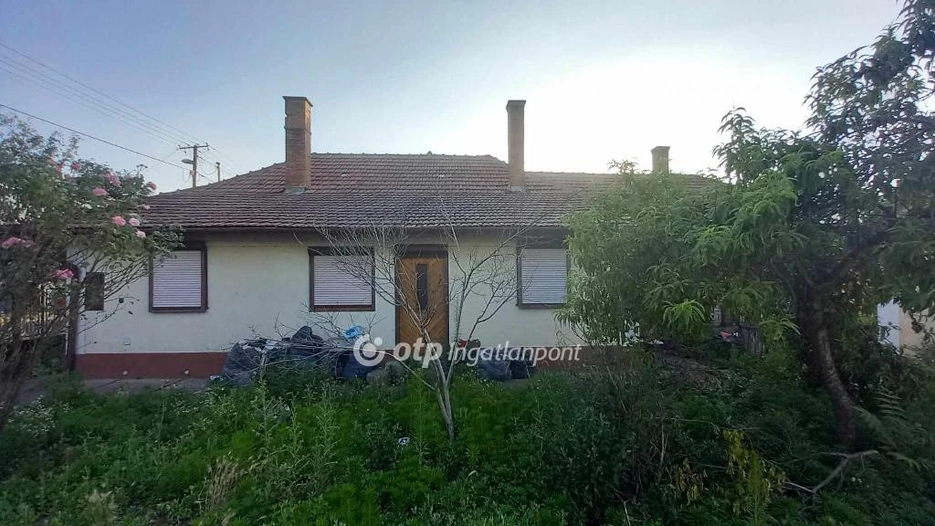 For sale house, Csanytelek