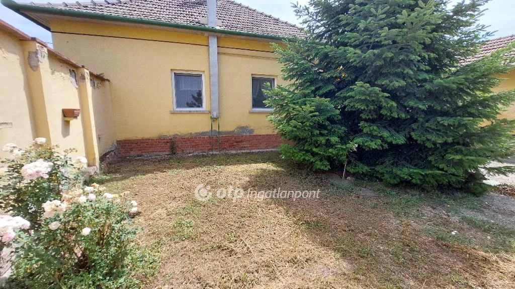 For sale house, Mindszent