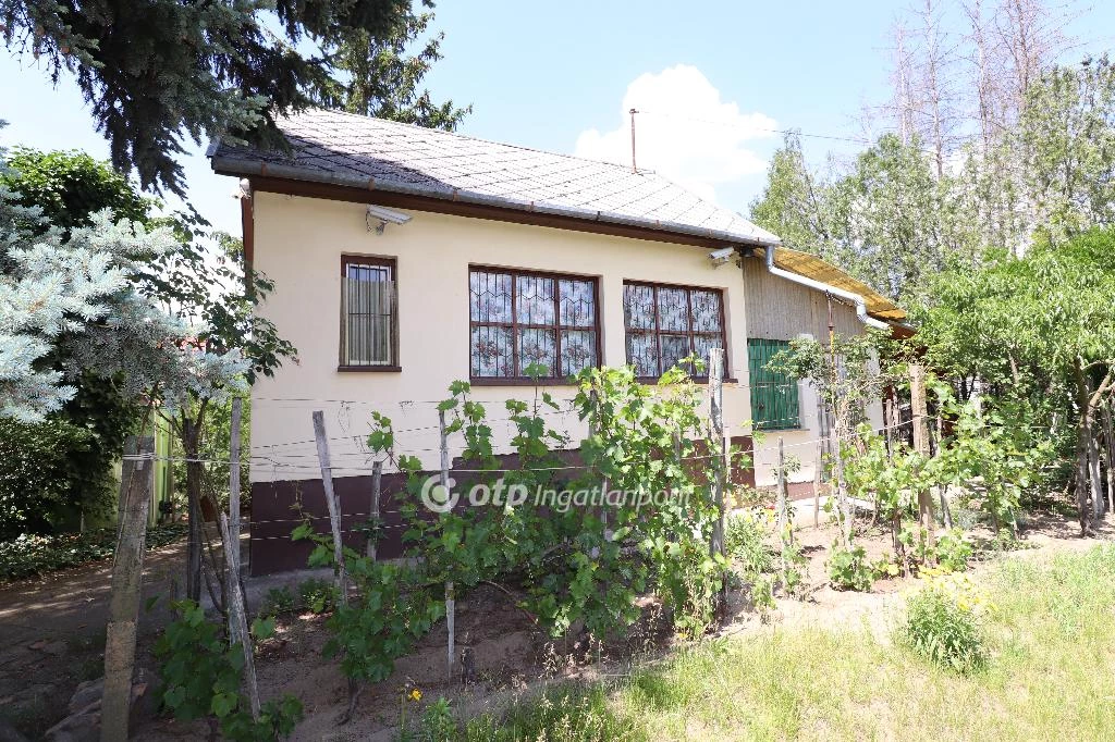 For sale house, Csongrád