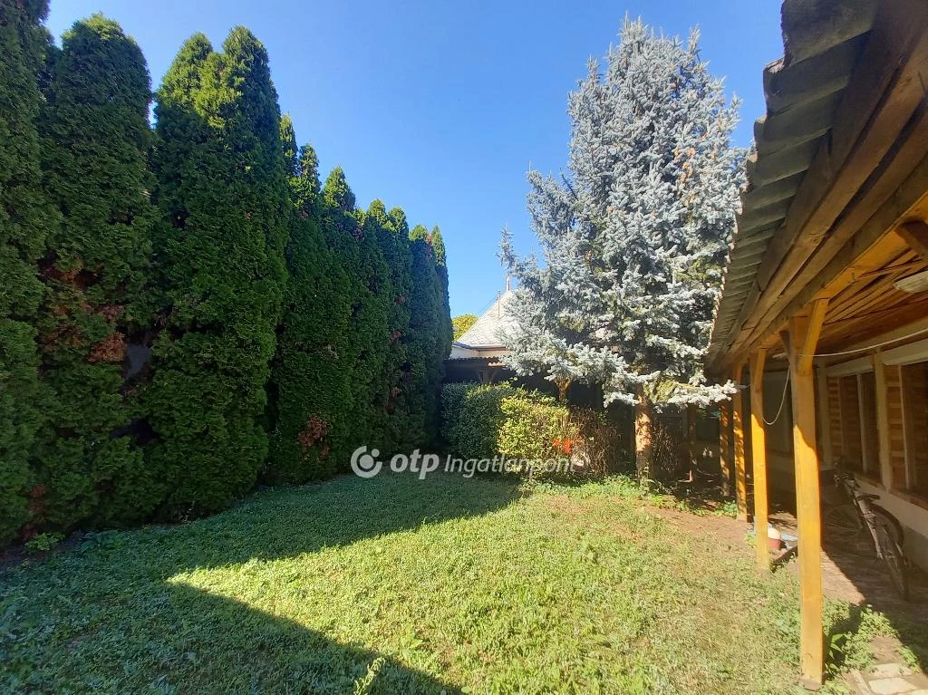 For sale house, Csongrád