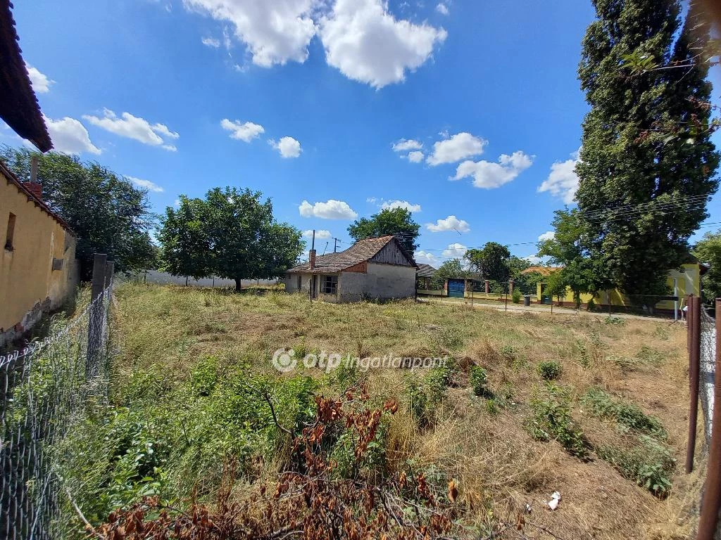 For sale building plot, Csongrád