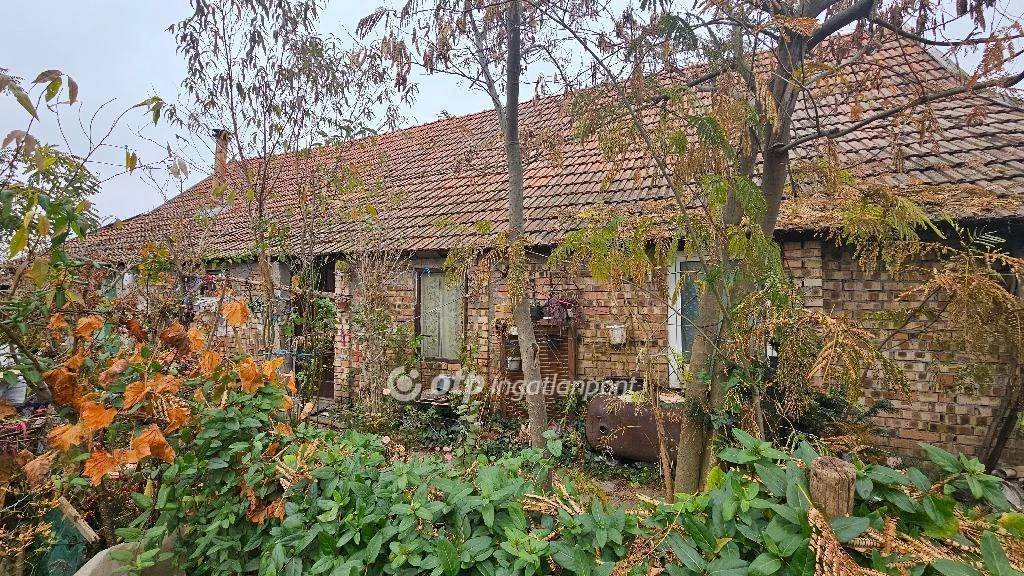 For sale house, Mezőkovácsháza