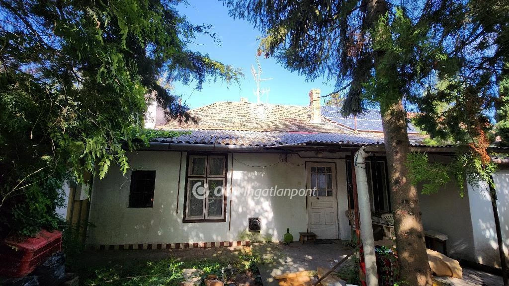 For sale house, Csongrád