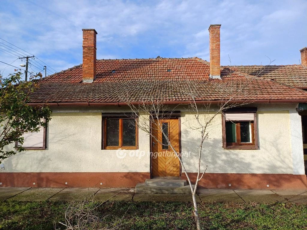 For sale house, Csanytelek