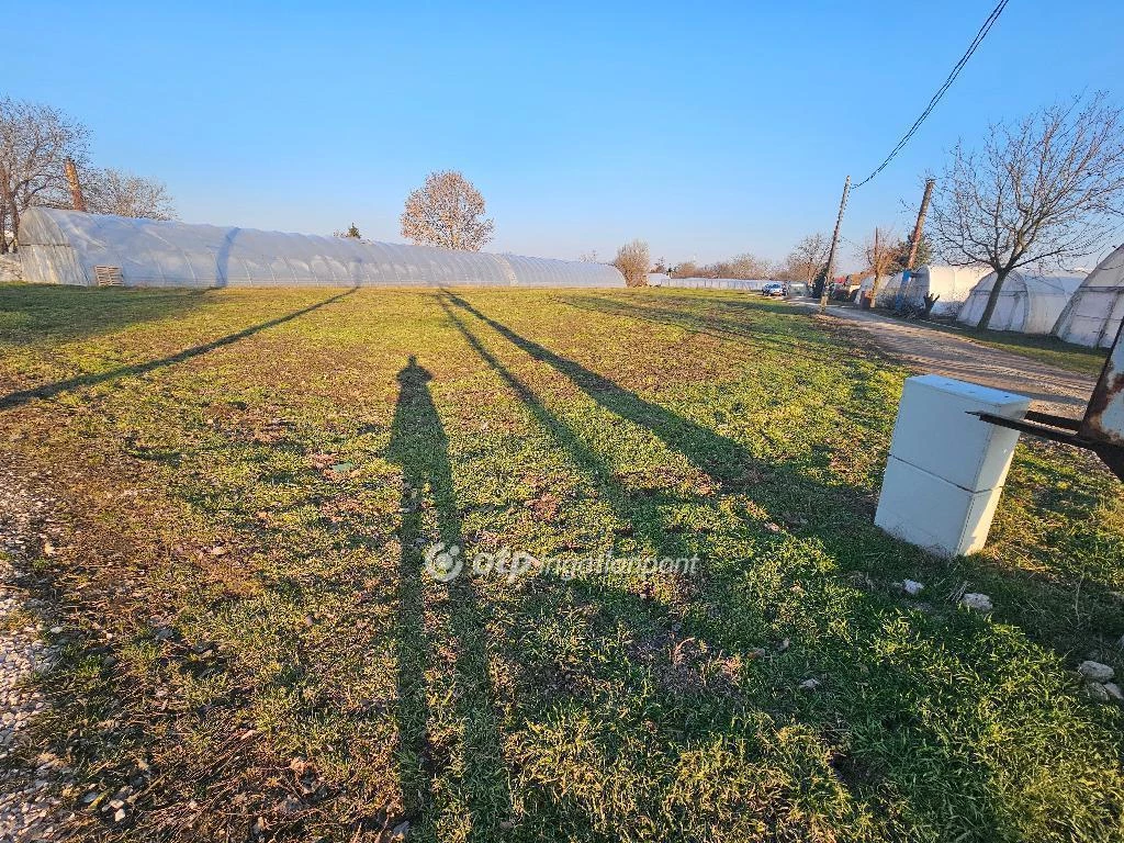 Eladó Telek, Szentes