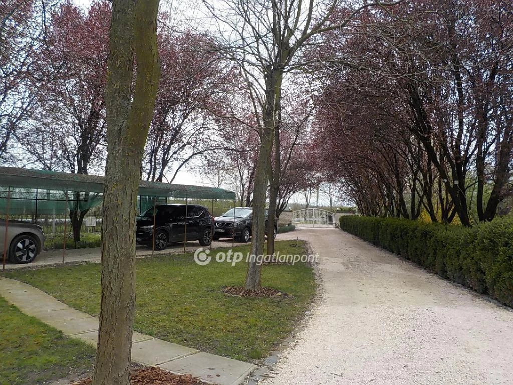 For sale house, Szentes