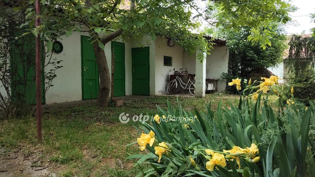For sale house, Szentes