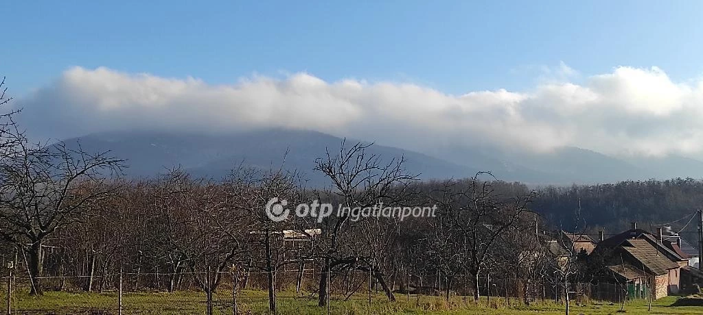 Eladó Telek, Pásztó