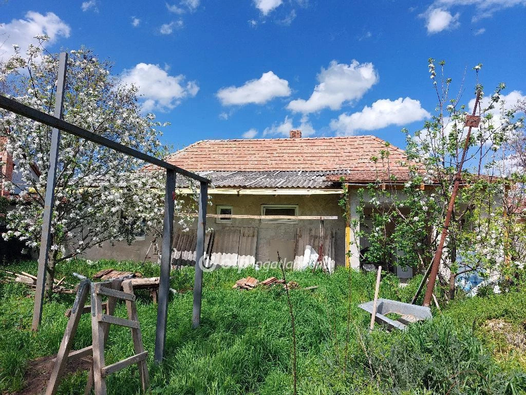 Eladó Ház, Szegvár