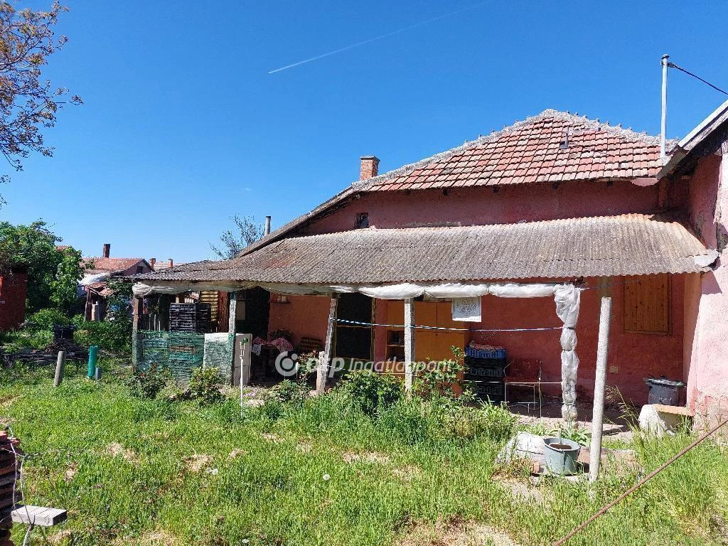 Eladó Ház, Csongrád