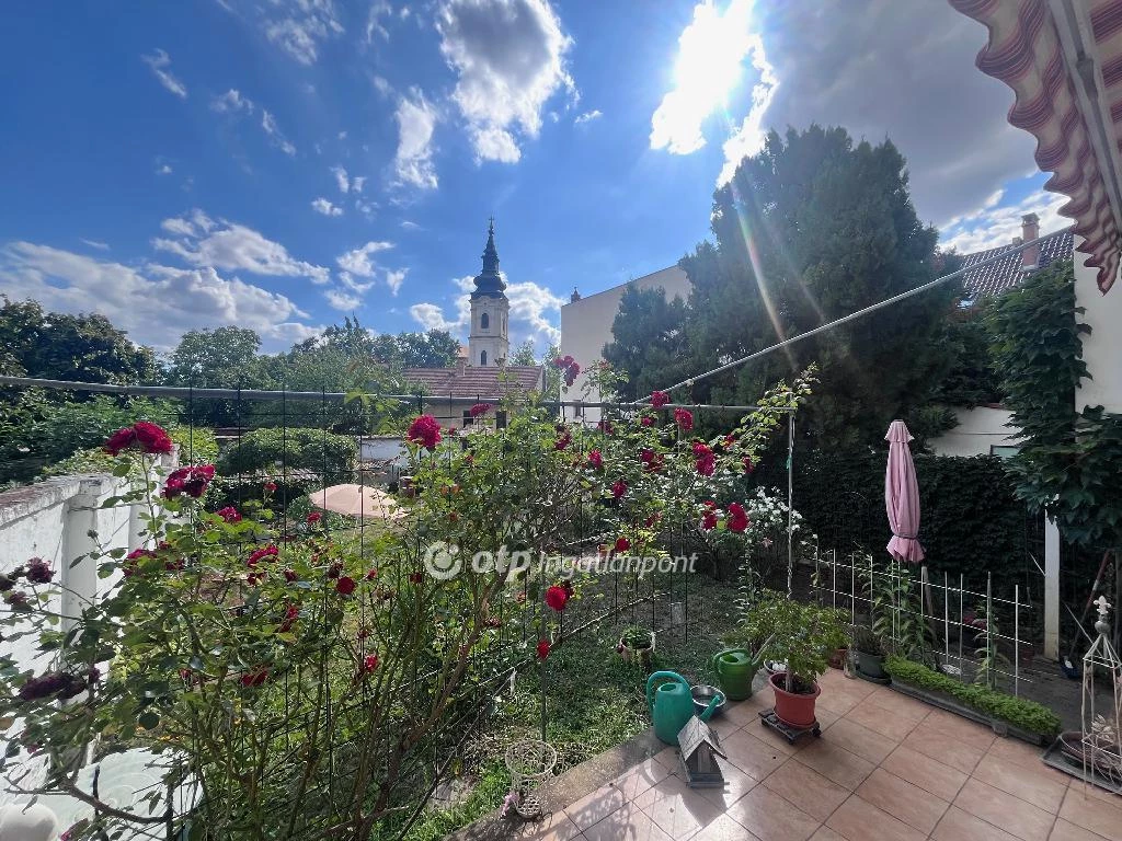 c3-1-name c2-1-name, Szeged