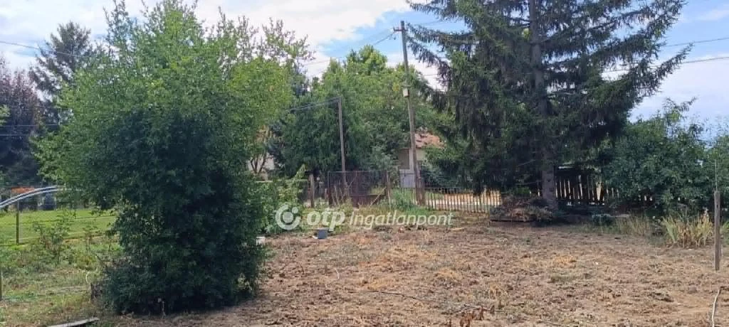 c3-1-name c2-1-name, Szeged