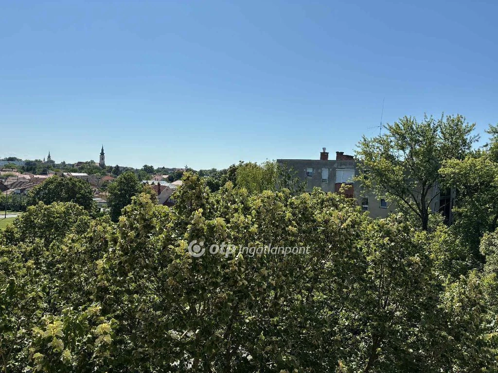 c3-1-name c2-19-name, Gyula