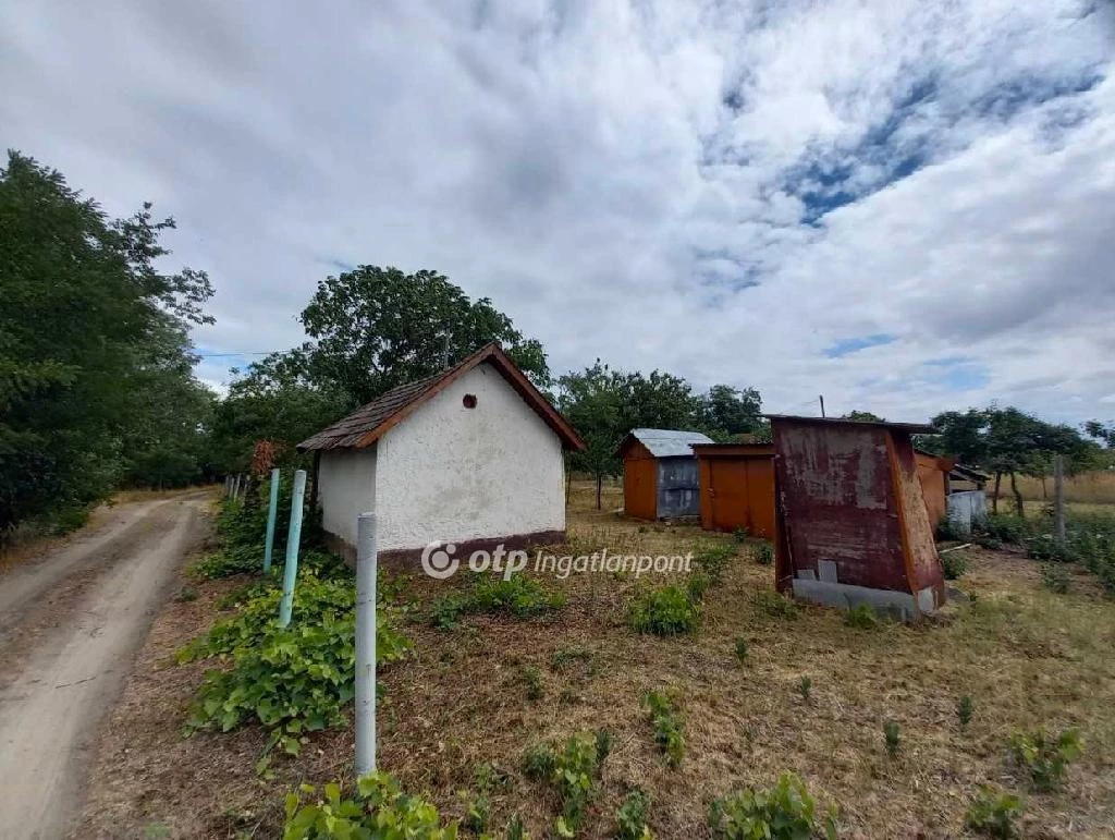 Eladó Ház, Csongrád