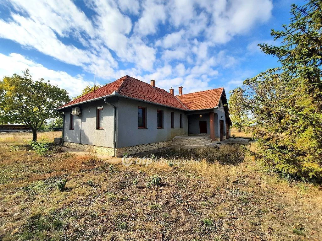 Eladó Ház, Kiskunfélegyháza