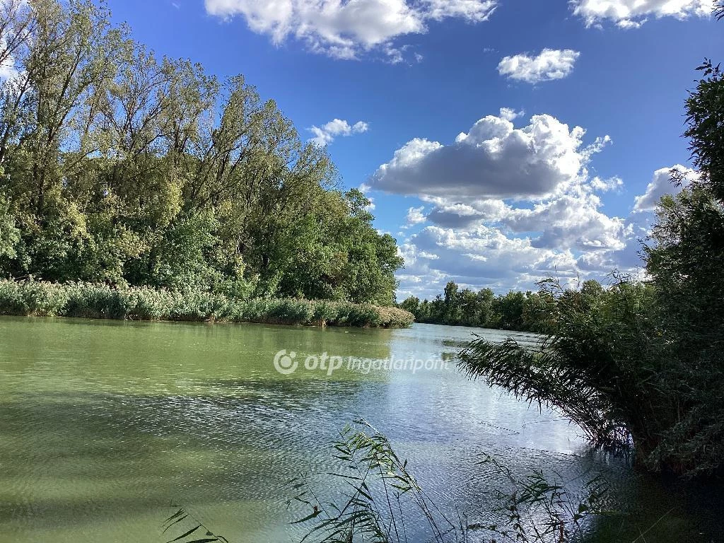 Eladó Ház, Mezőtúr