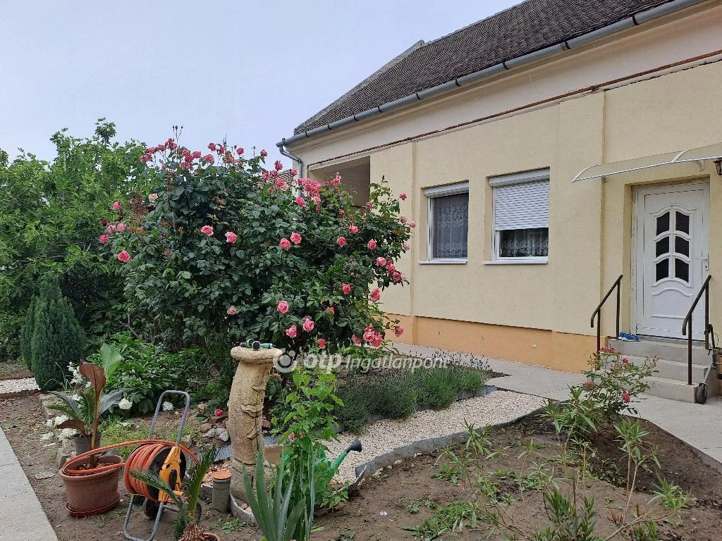 For sale house, Makó