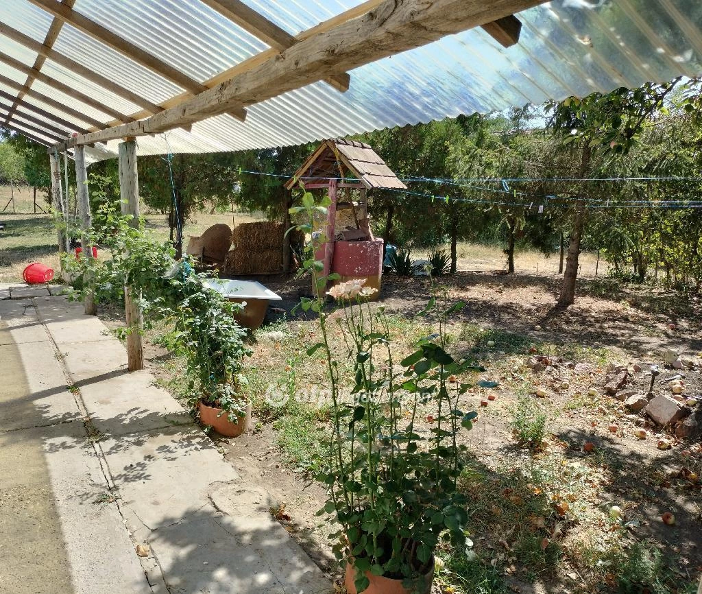 For sale house, Orosháza