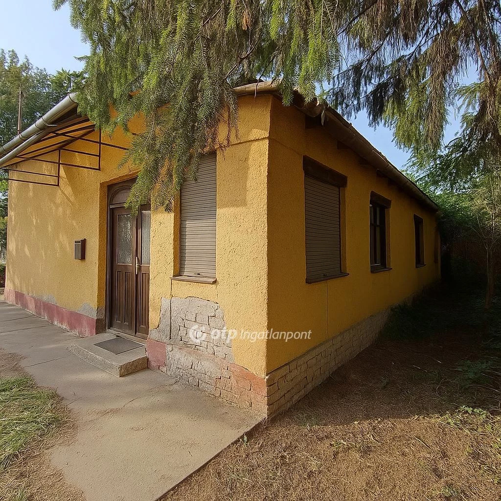 For sale house, Csanytelek