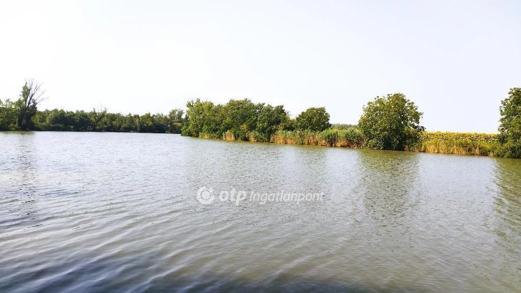 Eladó Telek, Mesterszállás